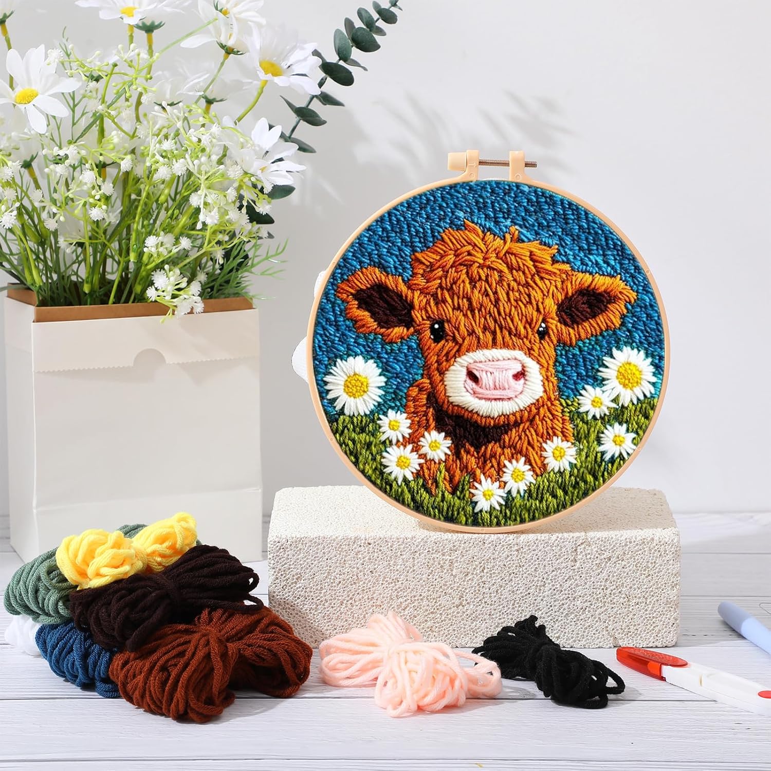 CHENISTORY Punch Needle Kit fo - Embroidery Converter avis et prix
