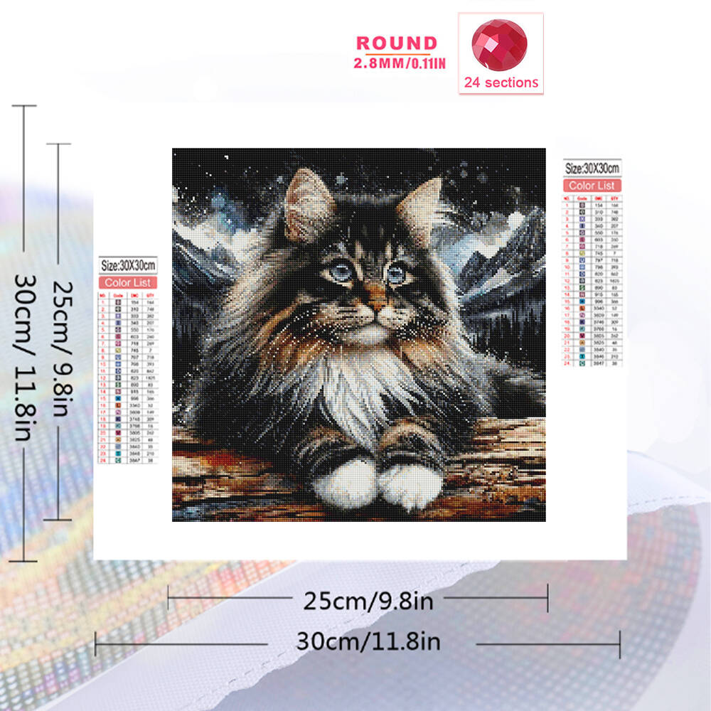 1pc frameless  5D DIY Diamond  - Embroidery X Stitch avis et prix